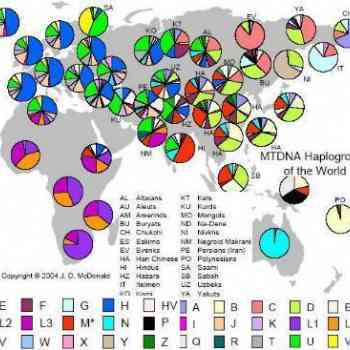 1A Mapa Haplogrupos de ADN mitocondrial nivel mund